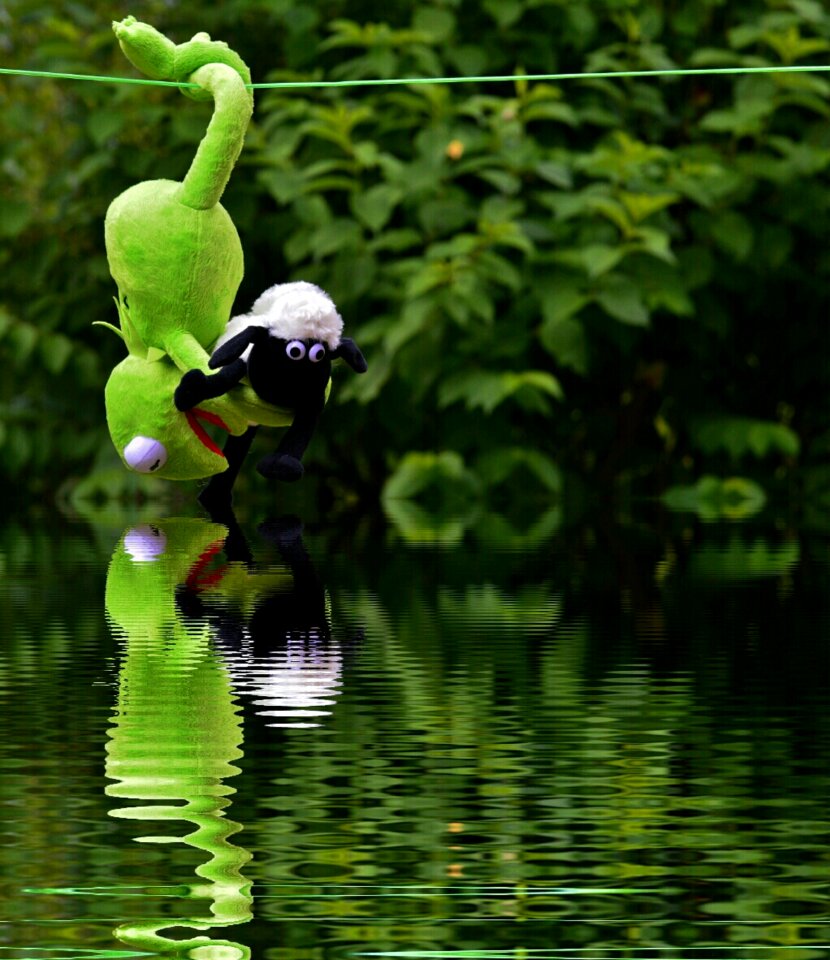 Plush toys kermit schäfchen