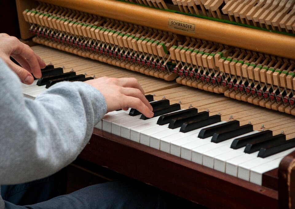 Musician artist music