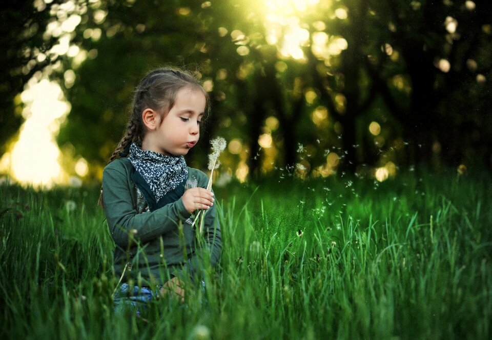 Spring nature grass