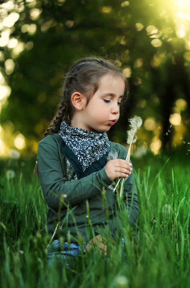 Spring nature grass