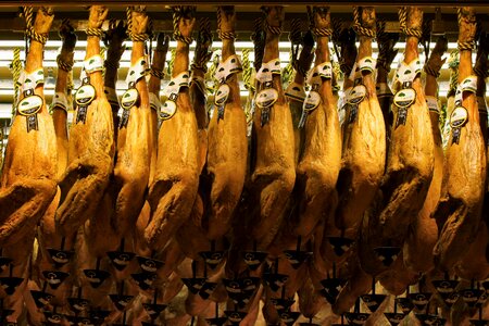 Spanish food gourmet