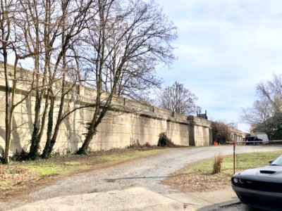 Chesapeake and Ohio Railroad Viaduct, Craig Street, Mainst… 