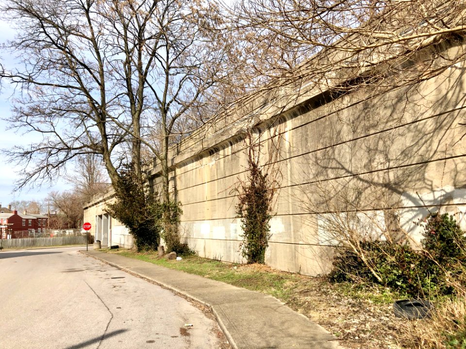 Chesapeake and Ohio Railroad Viaduct, Craig Street, Mainst… 