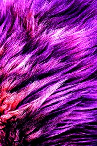 Purple material fashion