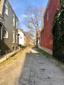 Banklick Street Alley, Seminary Square, Covington, KY 
