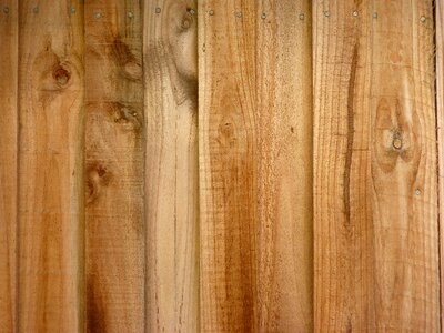 Wood paling fence texture photo