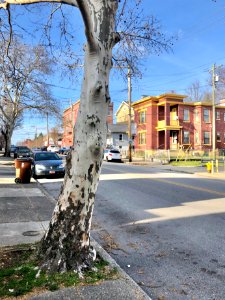 Russell Street, Seminary Square, Covington, KY 