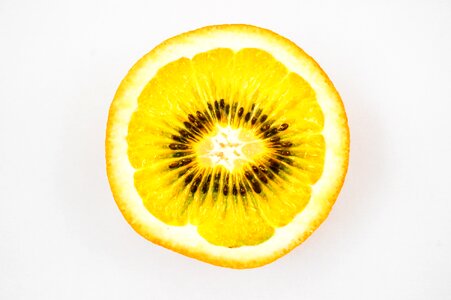 Kiwi junction citrus fruit