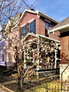 Russell Street, Seminary Square, Covington, KY 