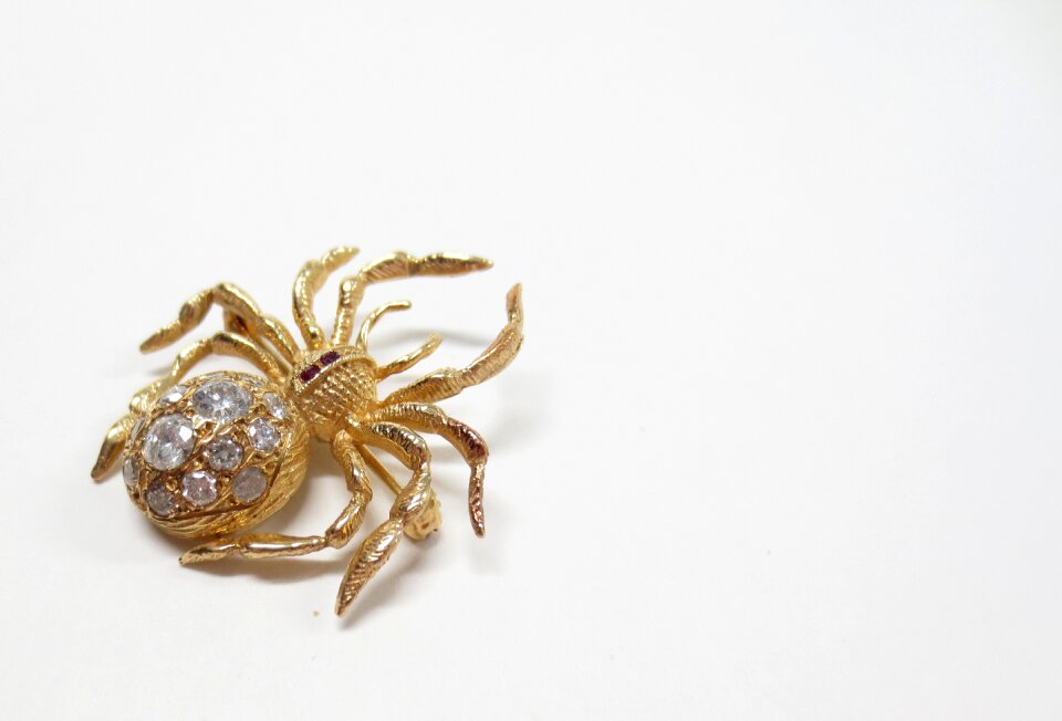 Halloween spooky critter