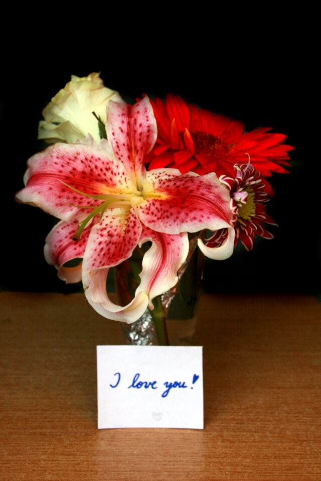 Message i love you love