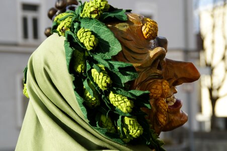Fool haestraeger carnival