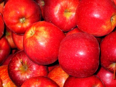 Bearing apple baked apple sale