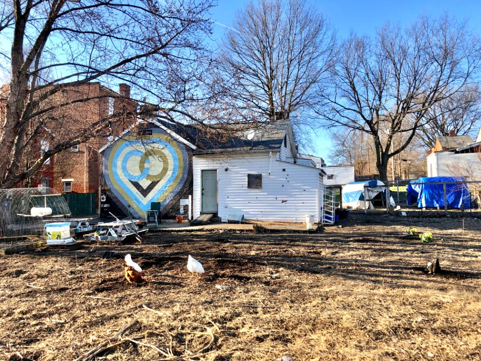 Orchard Park Community Garden, Orchard Street, Westside, C… 