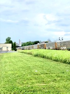 Union Pacific Railroad Train Cars, Peaselburg, Covington, … 