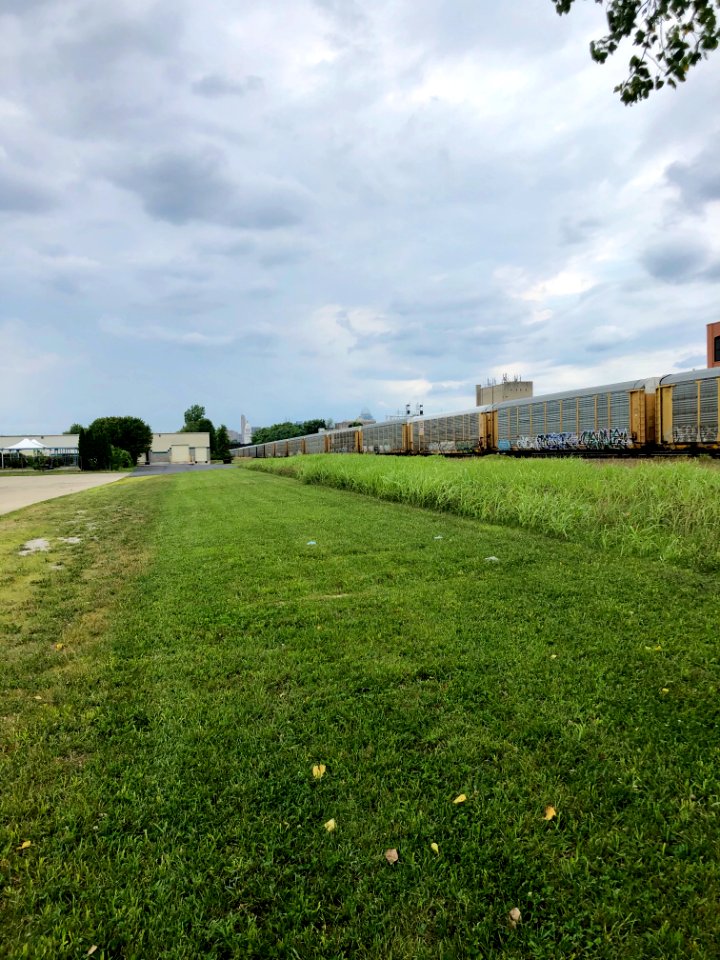 Union Pacific Railroad Train Cars, Peaselburg, Covington, … 