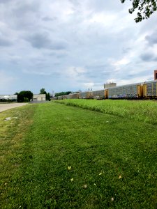 Union Pacific Railroad Train Cars, Peaselburg, Covington, … 