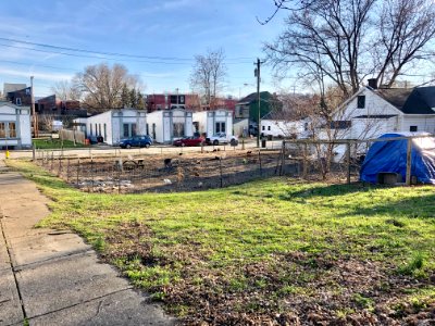 Orchard Park Community Garden, Orchard Street, Westside, C… 