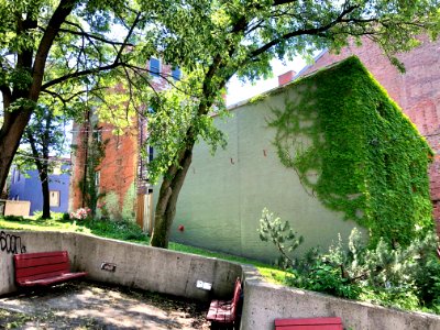 Sycamore Street, Prospect Hill Historic District, Mount Au… 