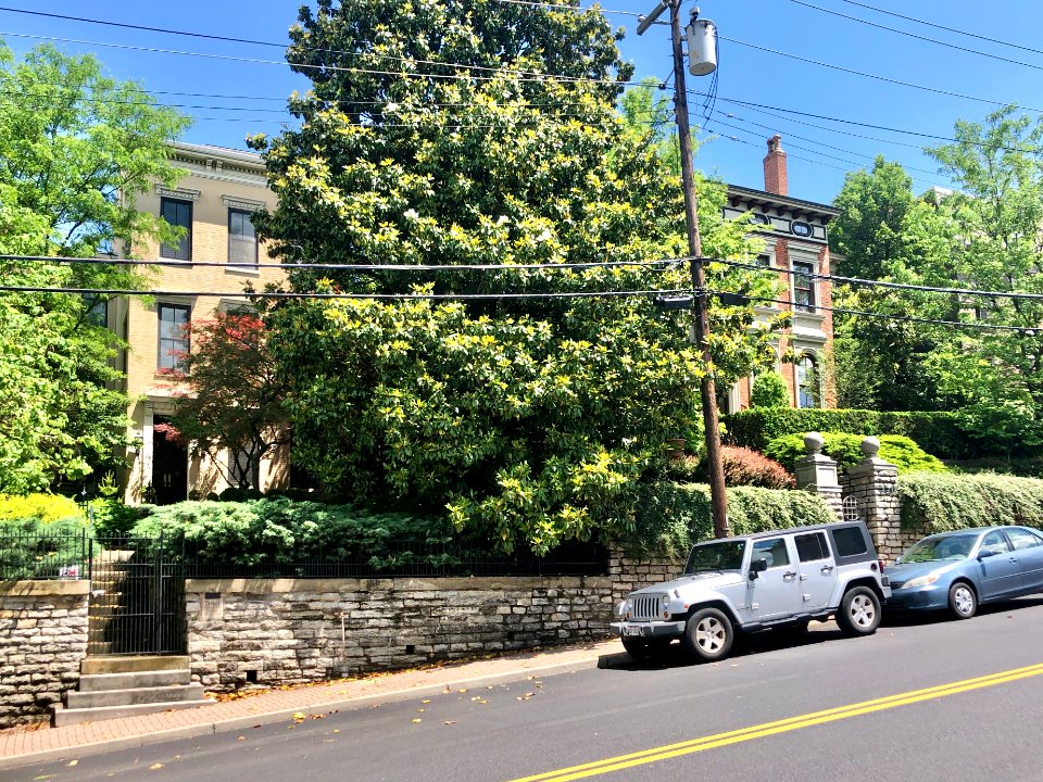 Liberty Hill, Prospect Hill Historic District, Mount Aubur… 
