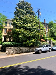 Liberty Hill, Prospect Hill Historic District, Mount Aubur… 