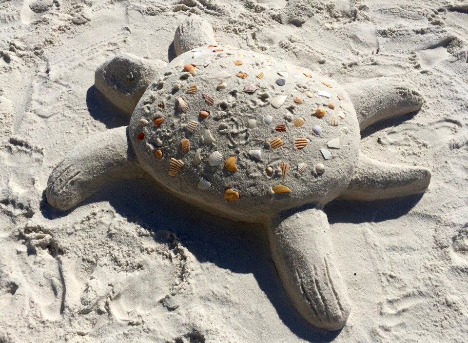 Beach sand summer tropical