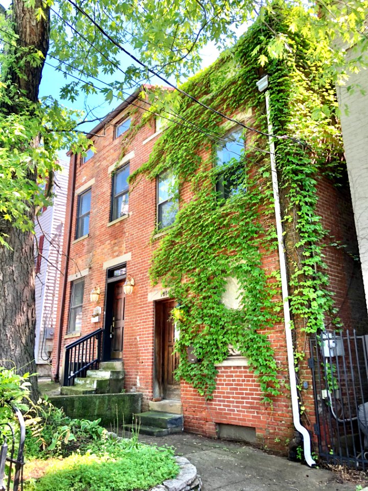 Mansfield Street, Prospect Hill Historic District, Mount A… 
