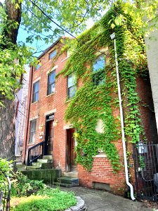 Mansfield Street, Prospect Hill Historic District, Mount A… 