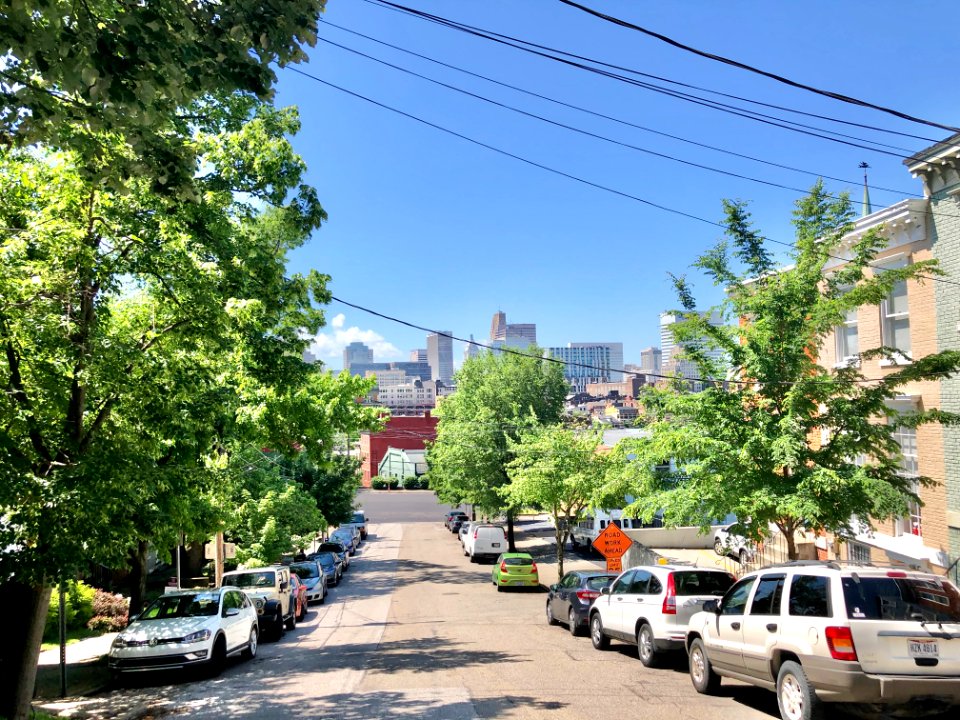 Mansfield Street, Prospect Hill Historic District, Mount A… 