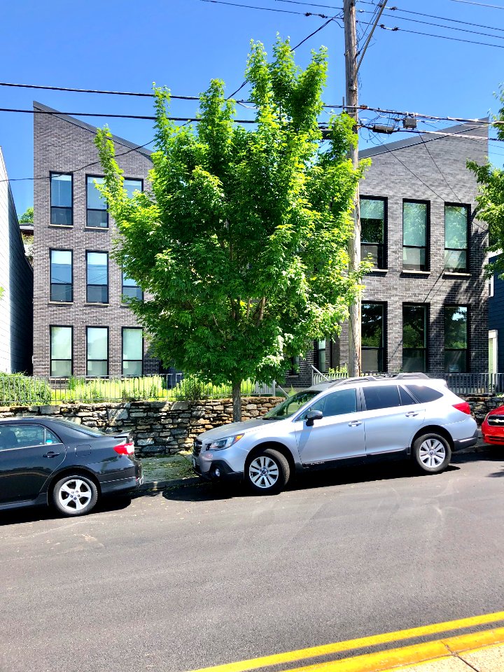 Liberty Hill, Prospect Hill Historic District, Mount Aubur… 