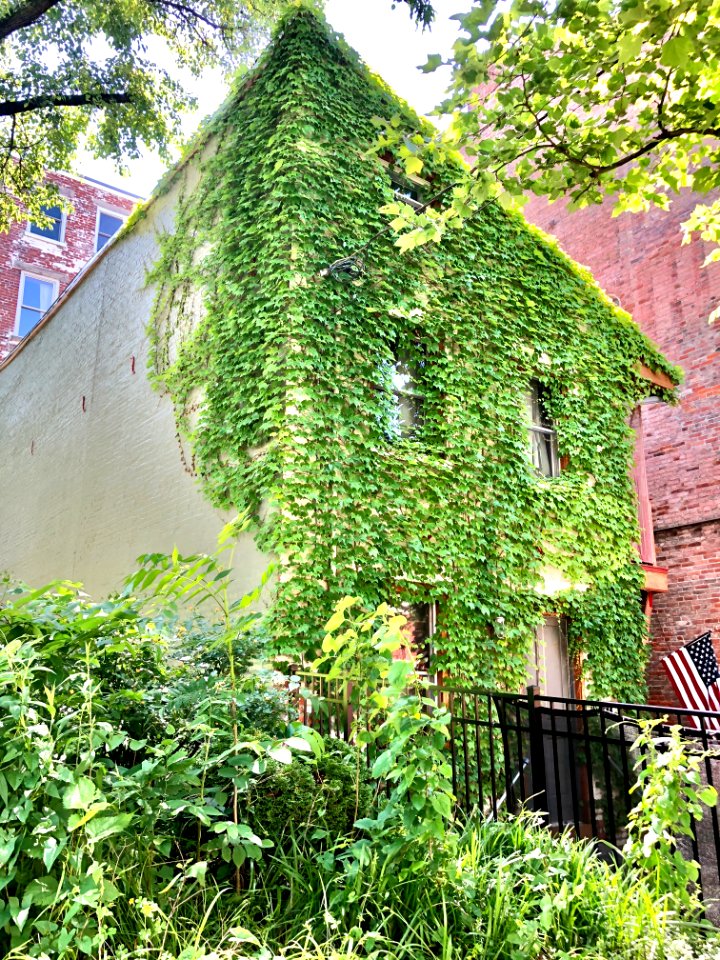 Sycamore Street, Prospect Hill Historic District, Mount Au… 