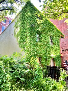 Sycamore Street, Prospect Hill Historic District, Mount Au… 