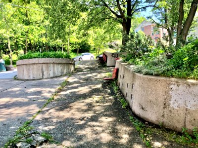 Sycamore Street, Prospect Hill Historic District, Mount Au… 