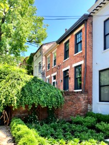 Mansfield Street, Prospect Hill Historic District, Mount A… 