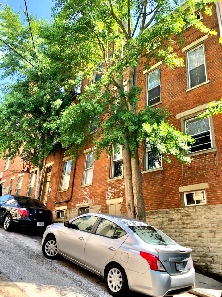 Broadway Street, Prospect Hill Historic District, Mount Au… 