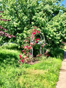 Liberty Hill, Prospect Hill Historic District, Mount Aubur… 
