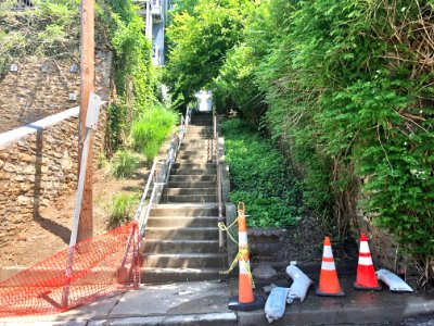 Hiram Alley Steps, Prospect Hill Historic District, Mount … 