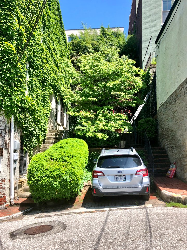 Corporation Alley, Prospect Hill Historic District, Mount … 