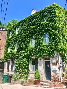 Corporation Alley, Prospect Hill Historic District, Mount … 
