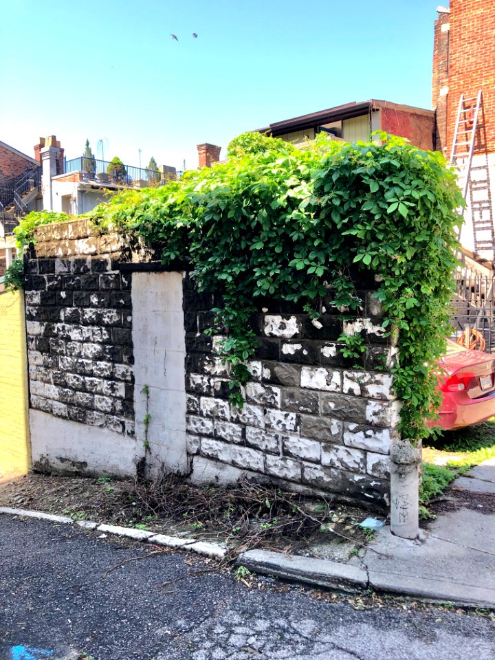 Von Seggern Alley, Prospect Hill Historic District, Mount … 