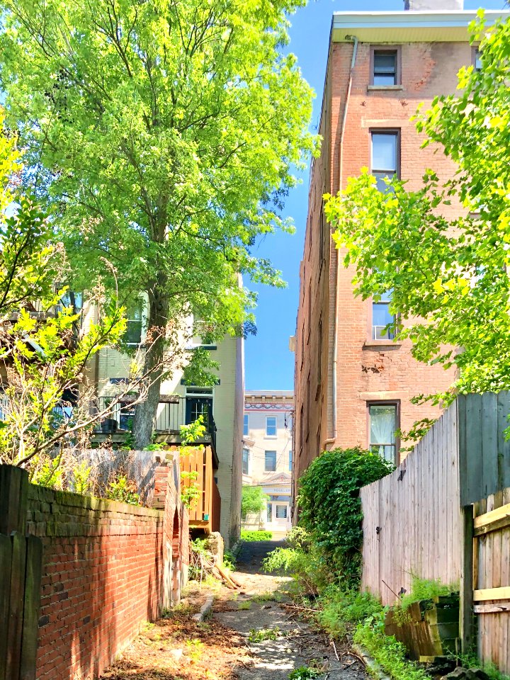 Bunker Alley, Prospect Hill Historic District, Mount Aubur… 
