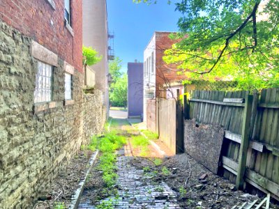 Bunker Alley, Prospect Hill Historic District, Mount Aubur… 