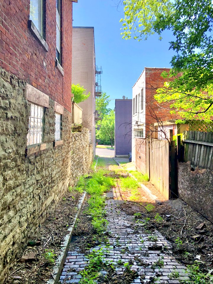 Bunker Alley, Prospect Hill Historic District, Mount Aubur… 