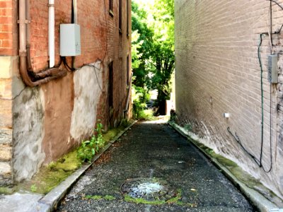 Bunker Alley, Prospect Hill Historic District, Mount Aubur… 