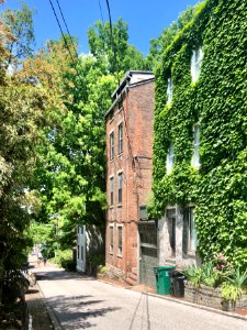 Corporation Alley, Prospect Hill Historic District, Mount … 