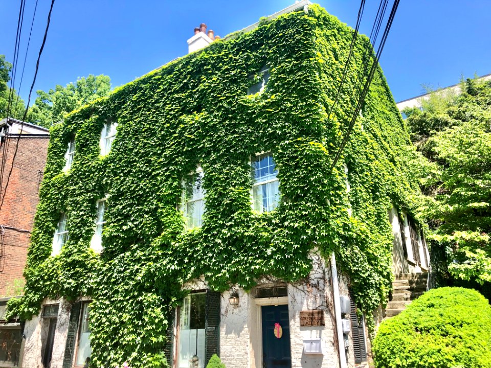 Corporation Alley, Prospect Hill Historic District, Mount … 