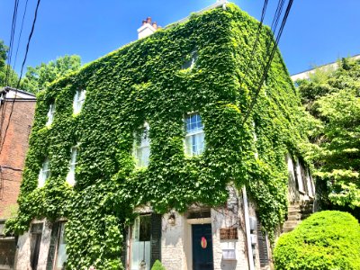 Corporation Alley, Prospect Hill Historic District, Mount … 