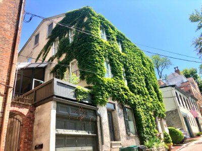 Corporation Alley, Prospect Hill Historic District, Mount … 