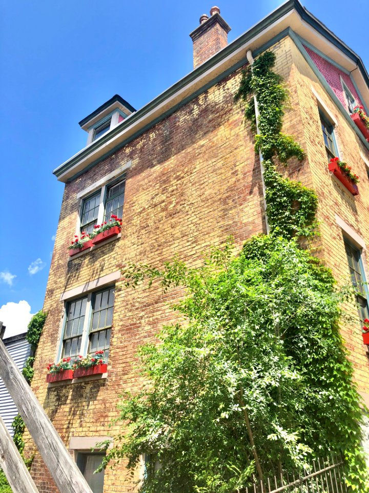 Young Street, Prospect Hill Historic District, Mount Aubur… 