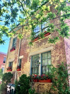 Young Street, Prospect Hill Historic District, Mount Aubur… 
